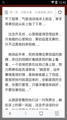 爱游戏体育平台意甲赞助商